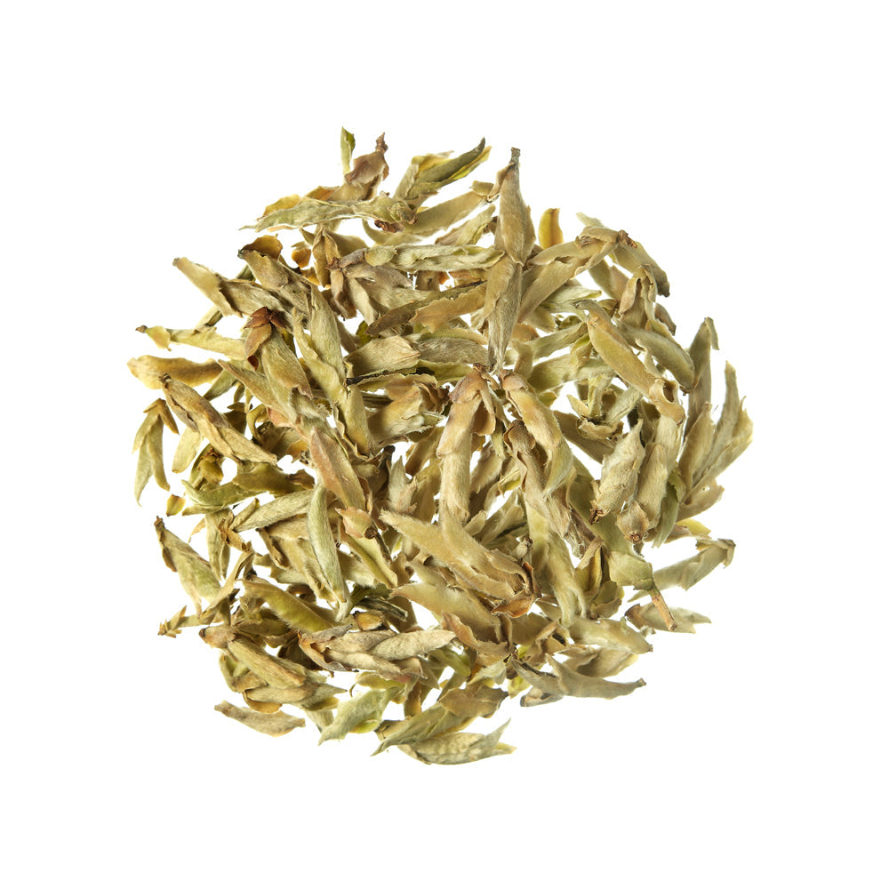 Weißer Tee Ya Bao Silver Buds Weißer Tee China - 100 g